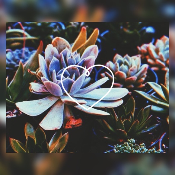 aoly8